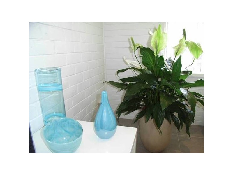 1/11 Roper Street, Vincentia NSW 2540