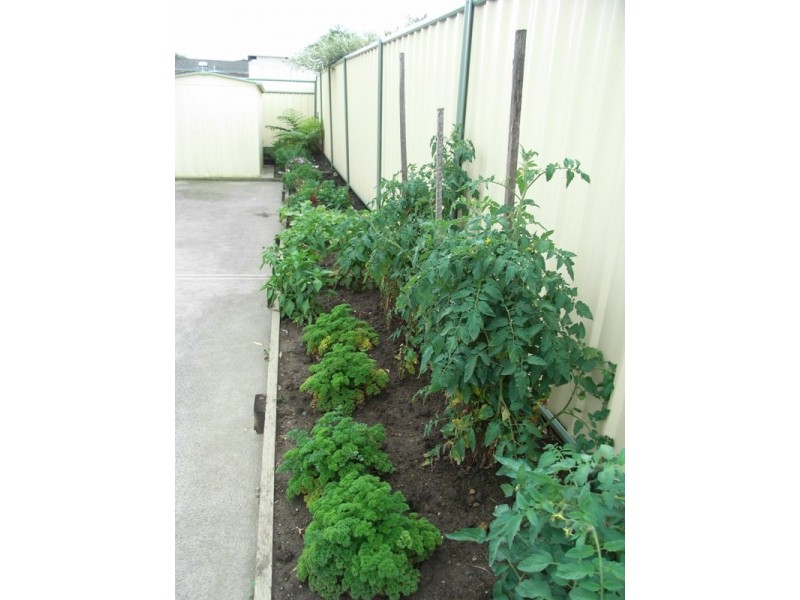 1/3 Bowen Street, Huskisson NSW 2540