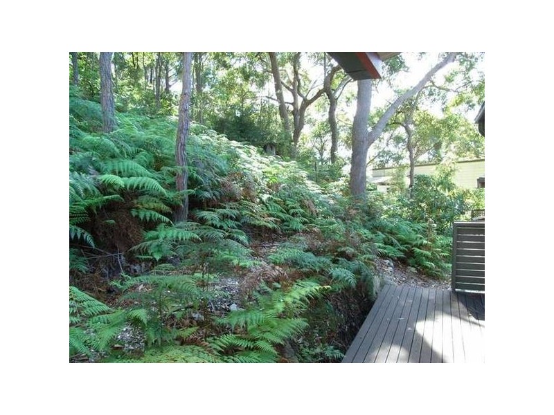 17 Bayview Avenue, Hyams Beach NSW 2540