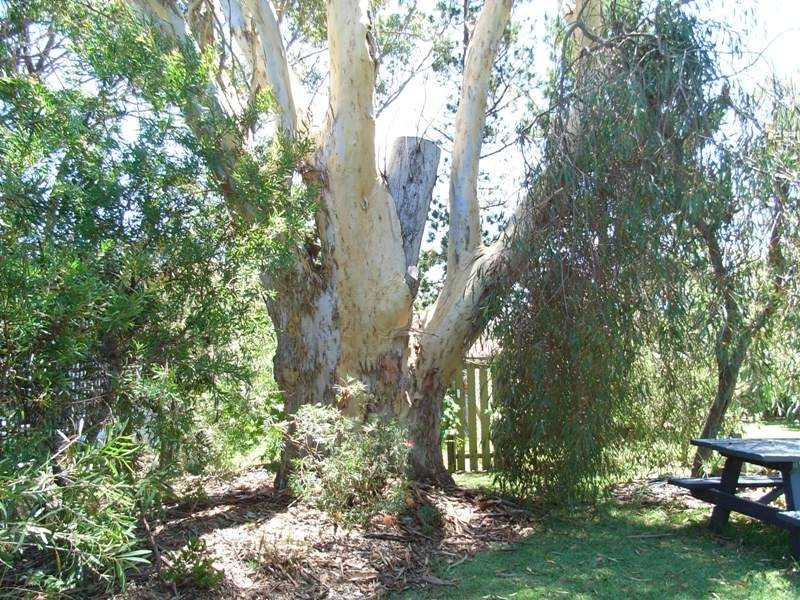 7 High Street, Erowal Bay NSW 2540