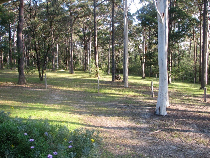521 Woollamia Road, Woollamia NSW 2540
