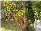 74 Frederick Street, Vincentia NSW 2540