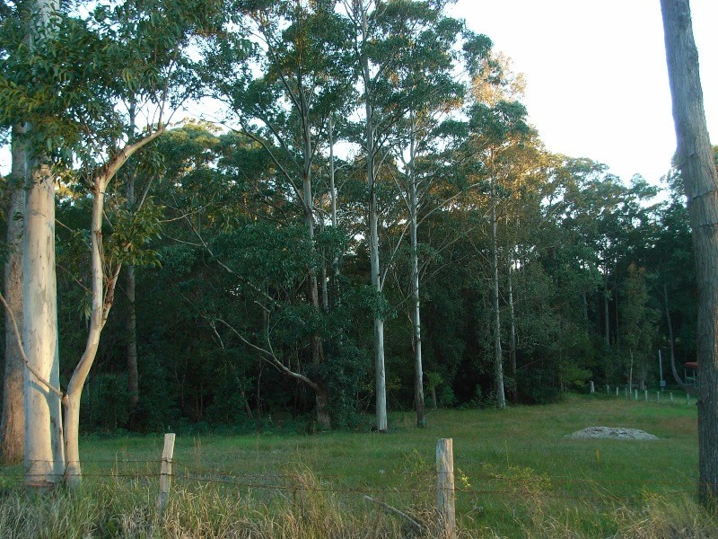 1 William Bryce Road, Tomerong NSW 2540