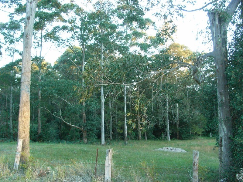 1 William Bryce Road, Tomerong NSW 2540