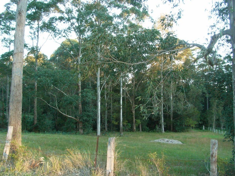 1 William Bryce Road, Tomerong NSW 2540
