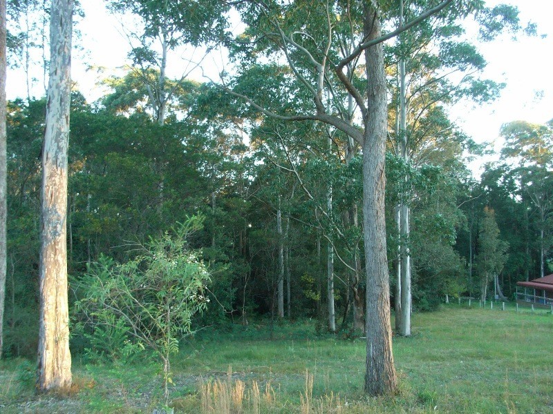 1 William Bryce Road, Tomerong NSW 2540