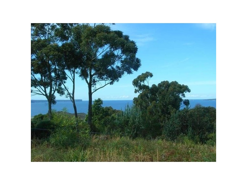 114 Waldegrave Crescent, Vincentia NSW 2540