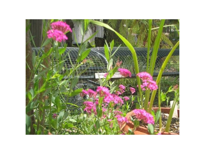 187 Macleans Point Road, Sanctuary Point NSW 2540