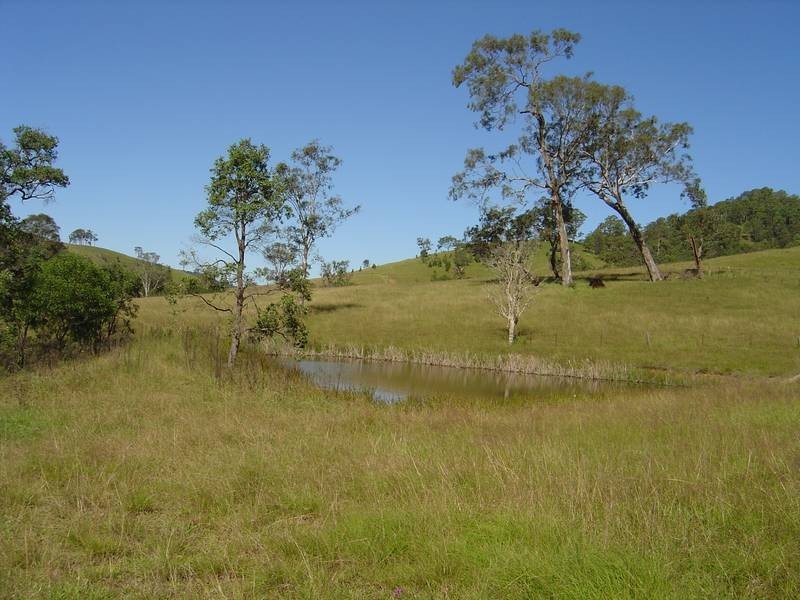 80-82 Holsteins Lane, Bucca Wauka NSW 2429