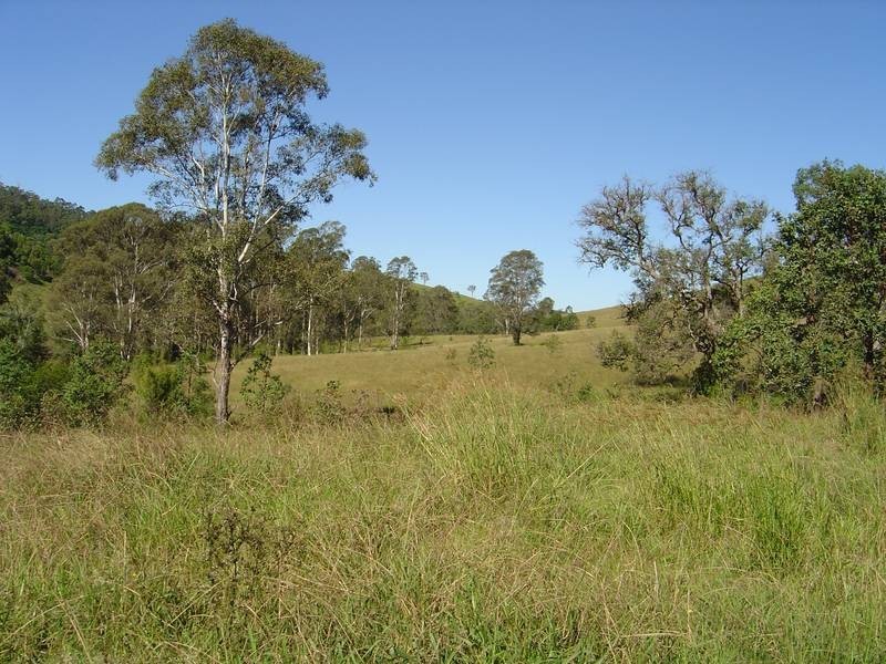 80-82 Holsteins Lane, Bucca Wauka NSW 2429