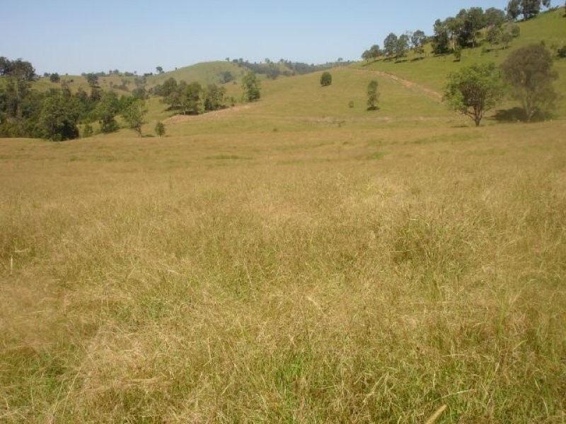 80-82 Holsteins Lane, Bucca Wauka NSW 2429