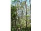 Gloucester NSW 2422