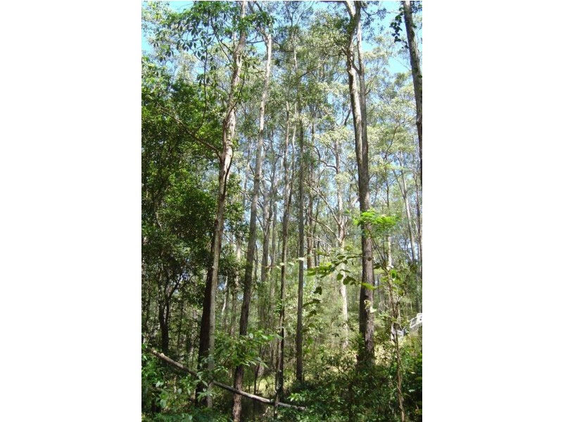 Gloucester NSW 2422