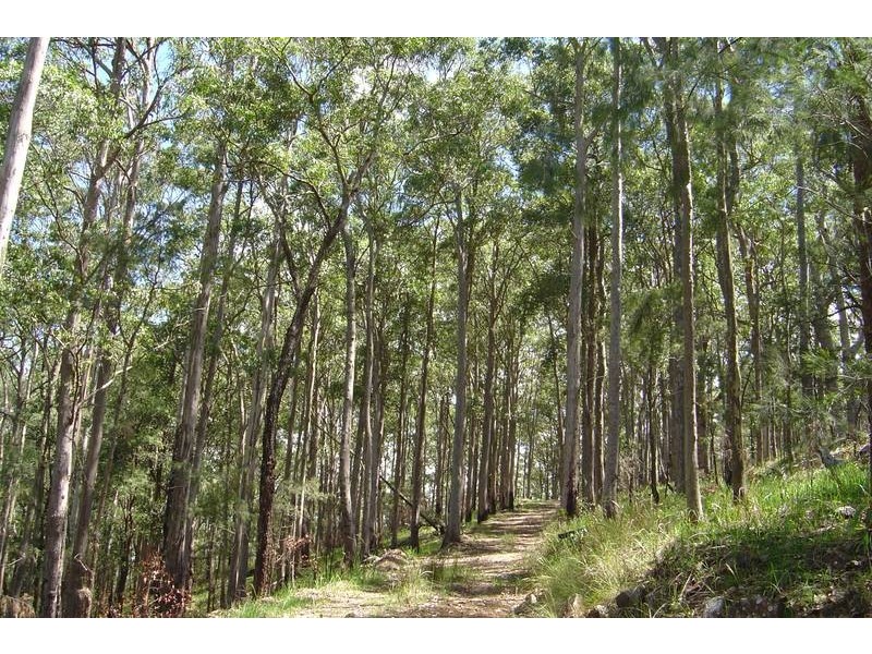 Gloucester NSW 2422