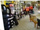Gloucester NSW 2422