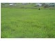 Gloucester NSW 2422