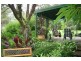 Barrington NSW 2422