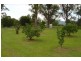 Barrington NSW 2422