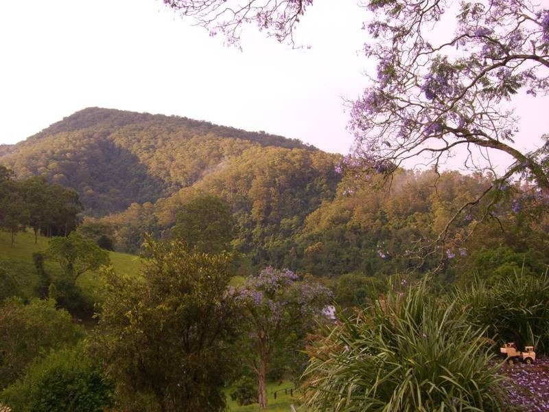 Gloucester NSW 2422
