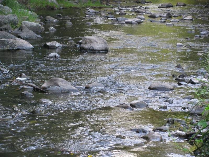 Bucca Wauka NSW 2429