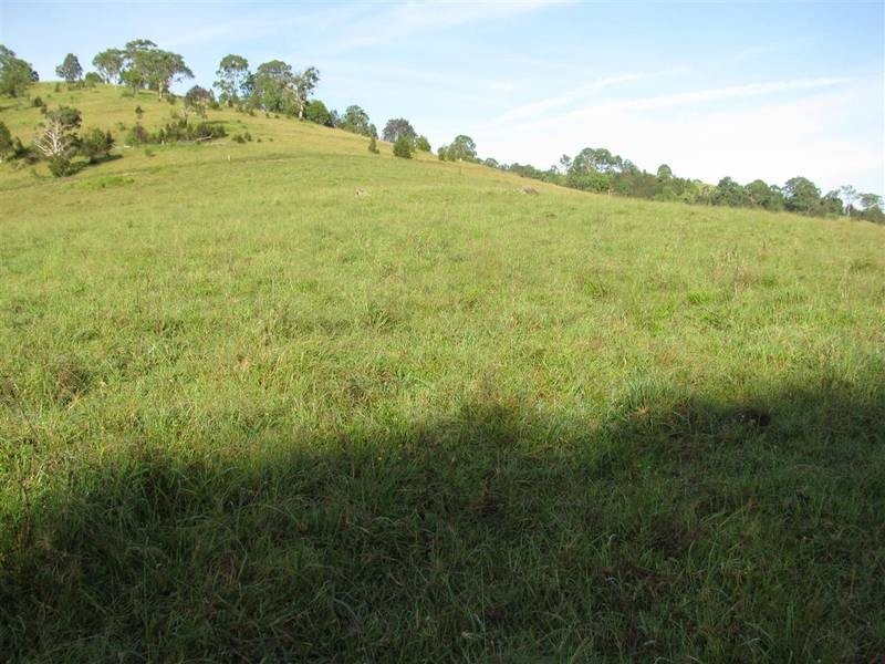 Bucca Wauka NSW 2429