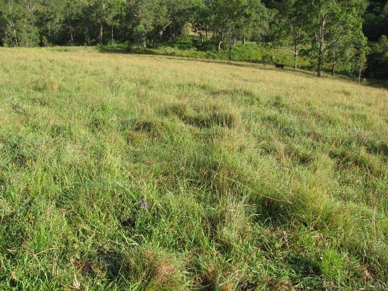 Bucca Wauka NSW 2429