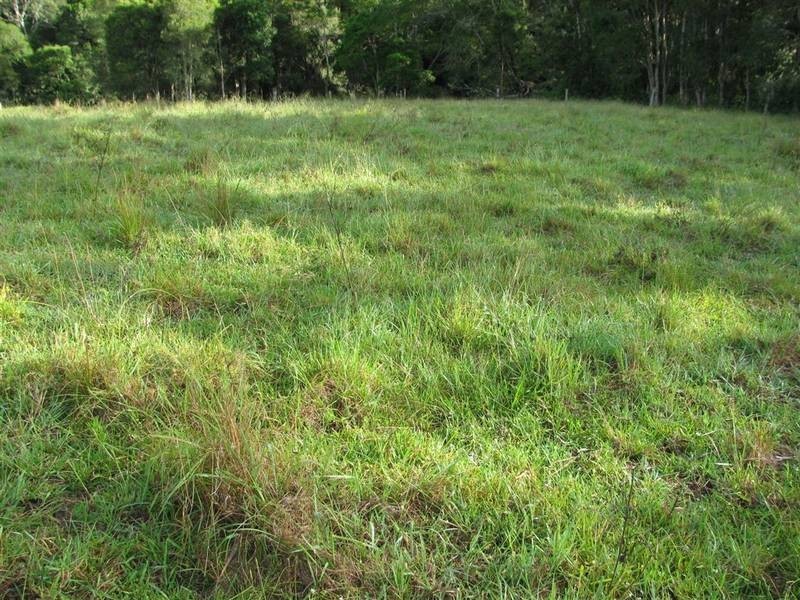 Bucca Wauka NSW 2429