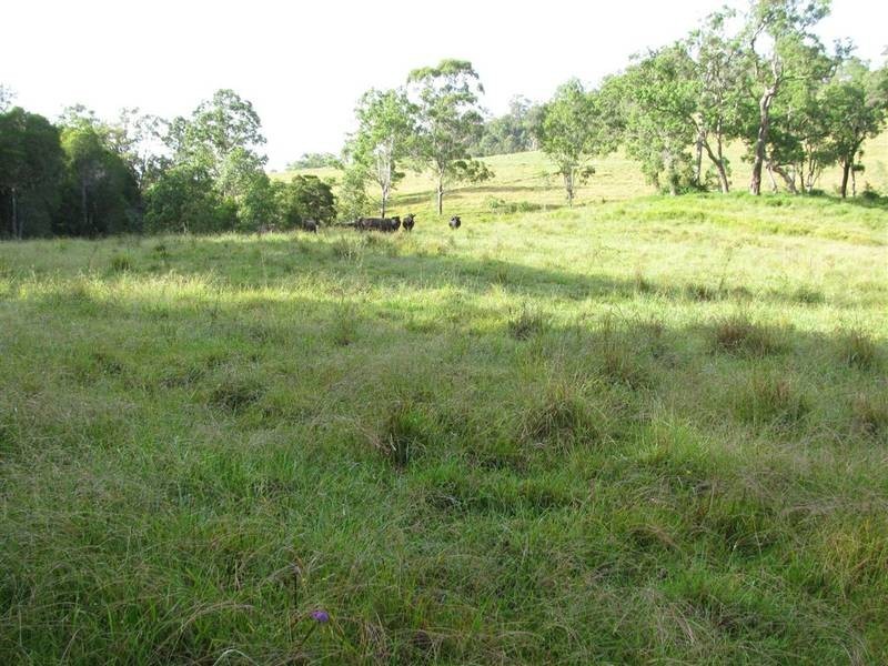 Bucca Wauka NSW 2429