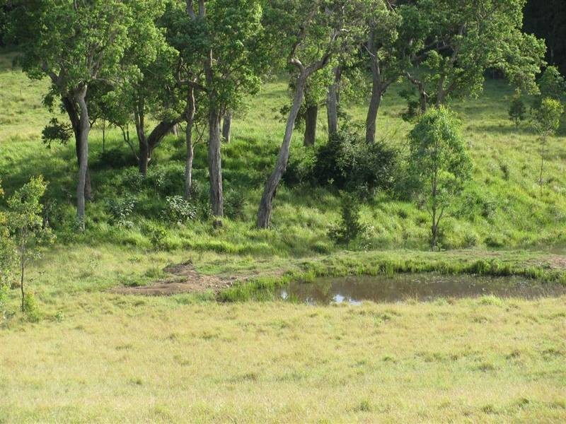 Bucca Wauka NSW 2429