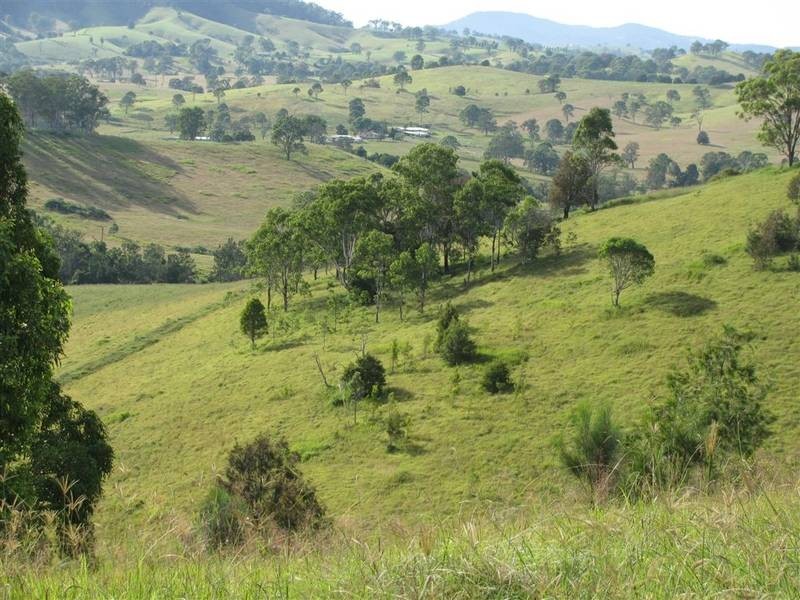 Bucca Wauka NSW 2429