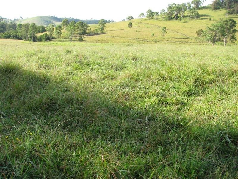 Bucca Wauka NSW 2429