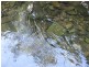 Gloucester NSW 2422