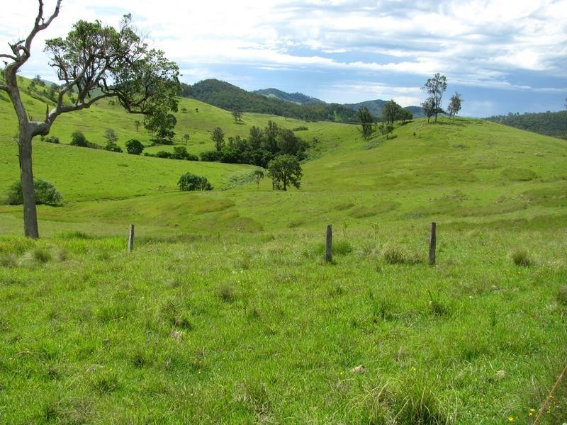 Belbora NSW 2422