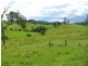 Belbora NSW 2422