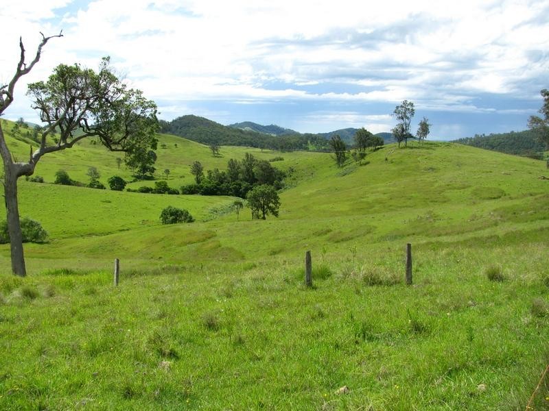 Belbora NSW 2422