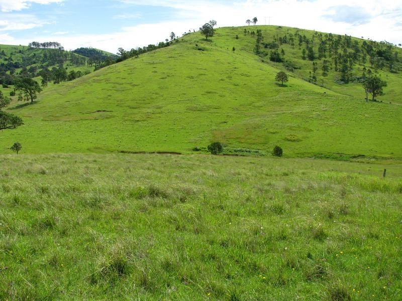 Belbora NSW 2422