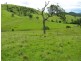 Belbora NSW 2422