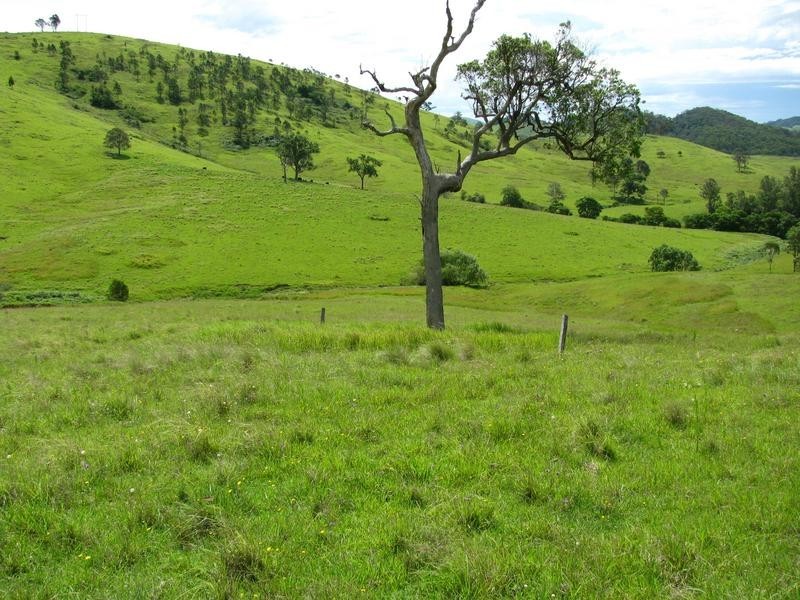 Belbora NSW 2422