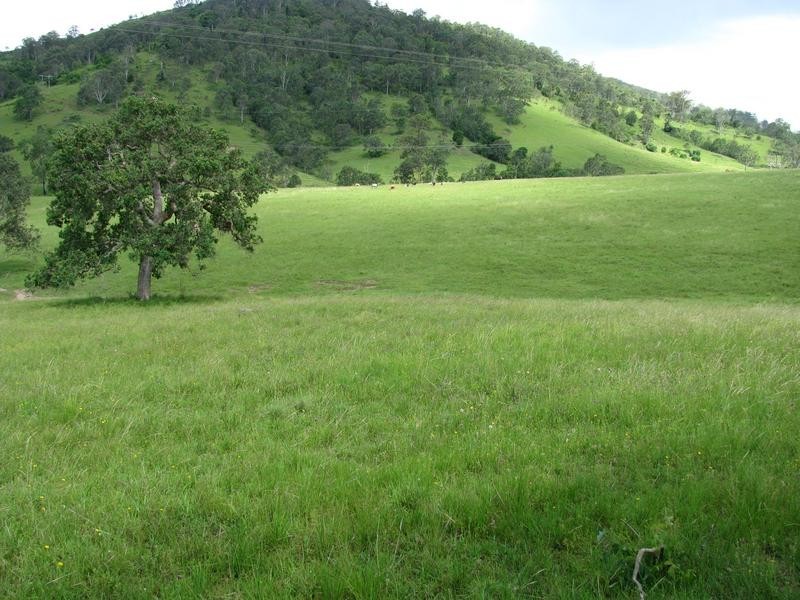 Belbora NSW 2422