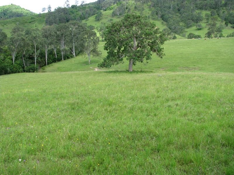 Belbora NSW 2422