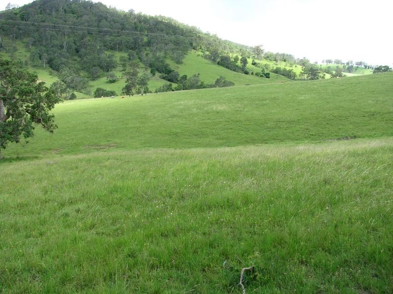 Belbora NSW 2422