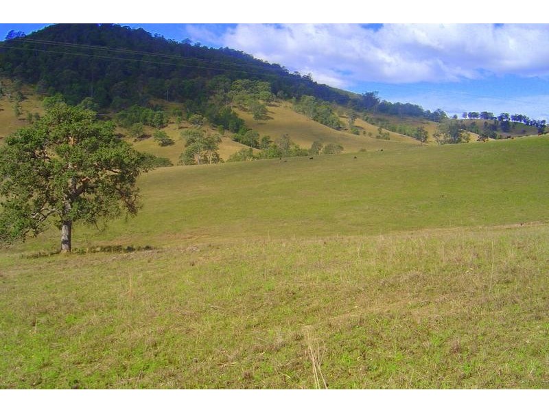 Belbora NSW 2422