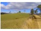 Belbora NSW 2422
