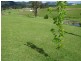 Gloucester NSW 2422