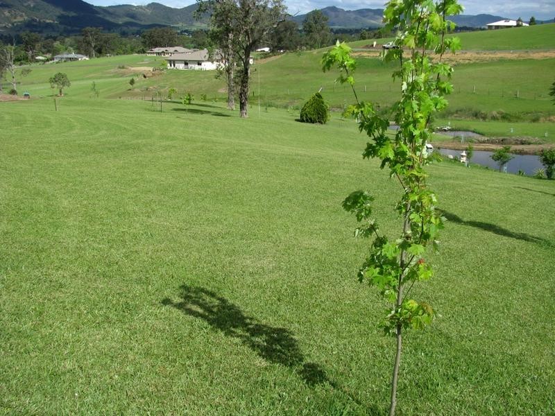 Gloucester NSW 2422