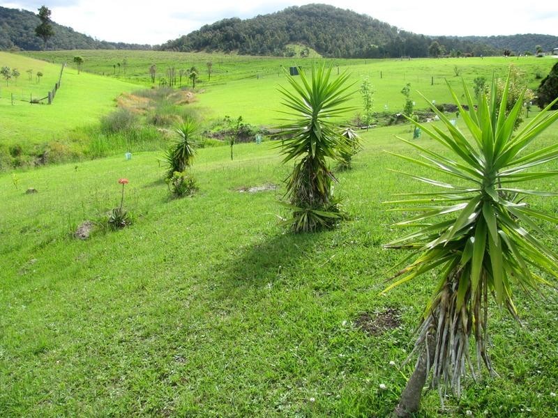 Gloucester NSW 2422