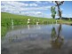 Gloucester NSW 2422