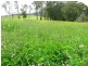 Nowendoc NSW 2354