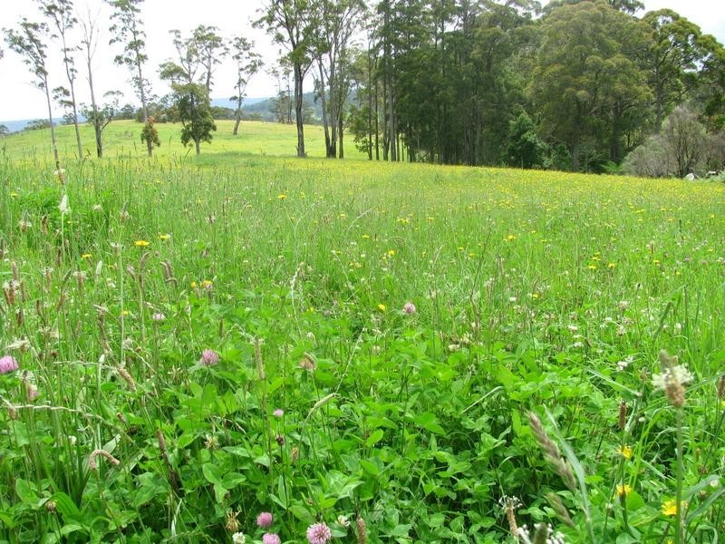 Nowendoc NSW 2354