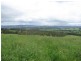 Nowendoc NSW 2354